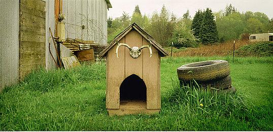 《幻兽帕鲁》NS版可能因技术原因难以推出